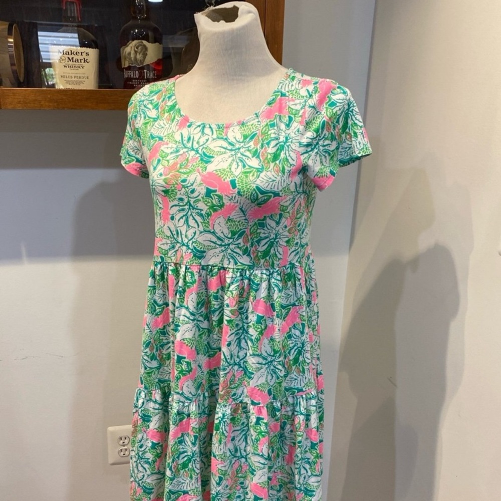 Lilly Pulitzer geanna swing dress just wing it sz small